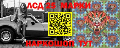 спайс Тара