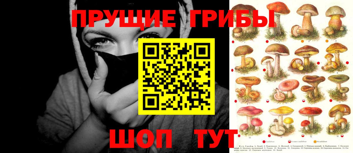 Псилоцибиновые грибы мицелий Петрозаводск